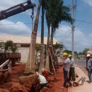 Imagem do WhatsApp de 2024-05-03 à(s) 10.21.26_bc24e8a6